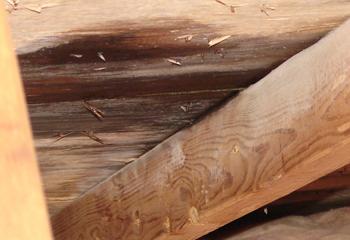 T-Roys Relief Roofing Images